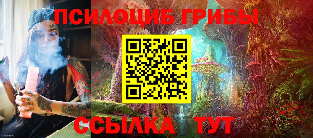 Галлюциногенные грибы MAGIC MUSHROOMS Сланцы